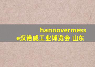 hannovermesse汉诺威工业博览会 山东